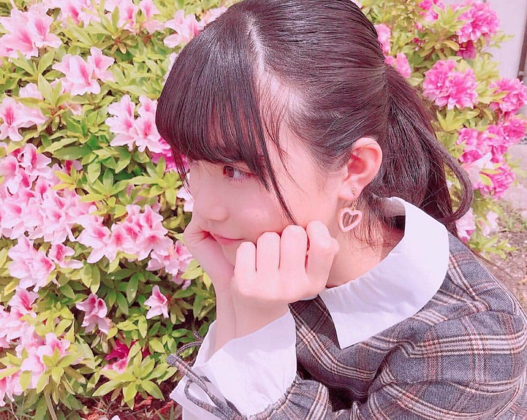 小越春花さんのインスタグラム写真 - (小越春花Instagram)「お花大好き🌸🌸 ピンク大好き💕💕 #小越春花#ngt48 #お花#ピンク#大好き」5月4日 8時43分 - haruka_2525_ngt48