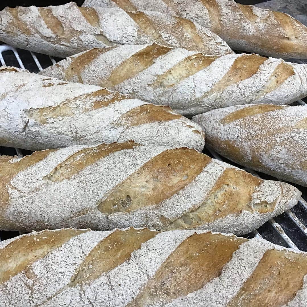 魔女菅原のグルメインスタ