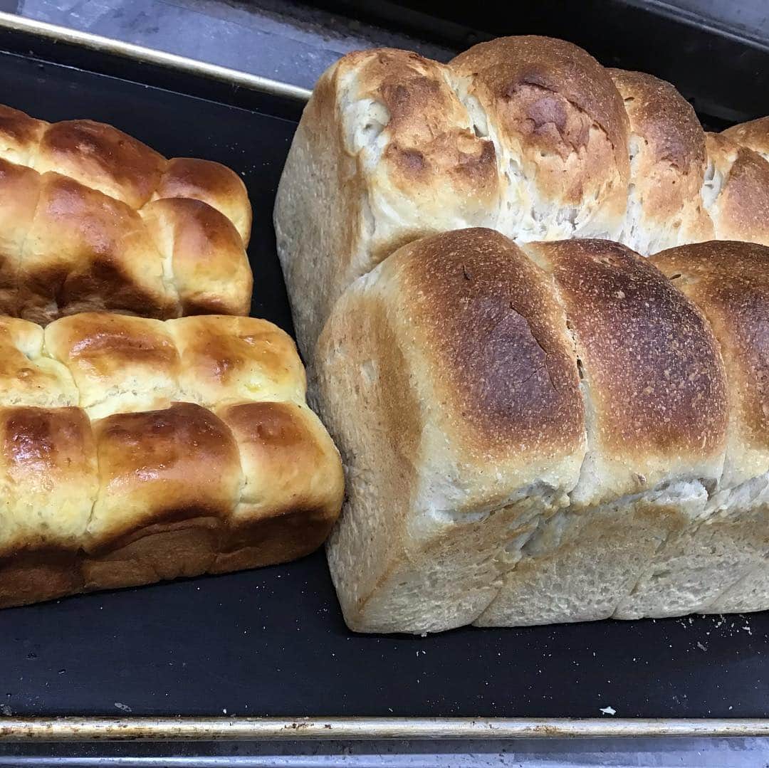 魔女菅原のグルメインスタ