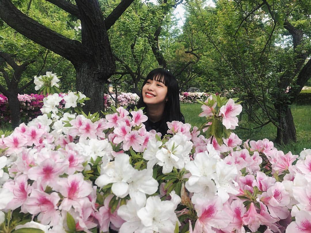 北澤舞悠（まゆちる）さんのインスタグラム写真 - (北澤舞悠（まゆちる）Instagram)「花」5月4日 15時51分 - mayu_kitazawa