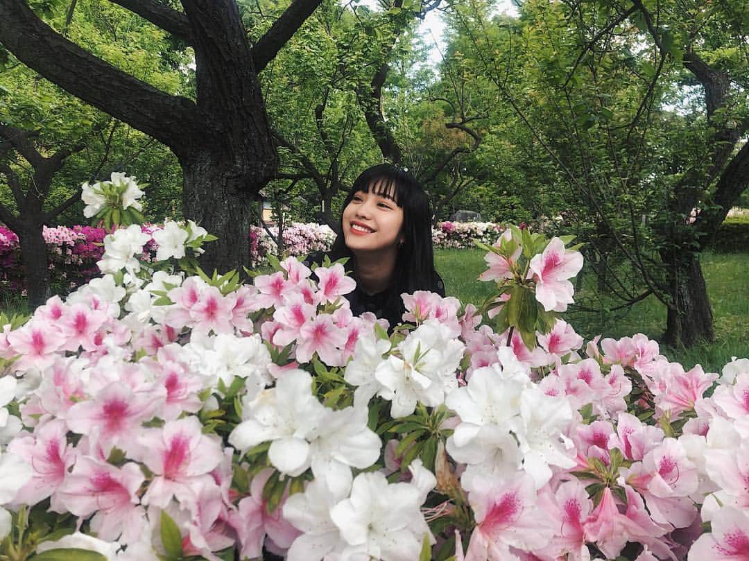 北澤舞悠（まゆちる）のインスタグラム：「花」