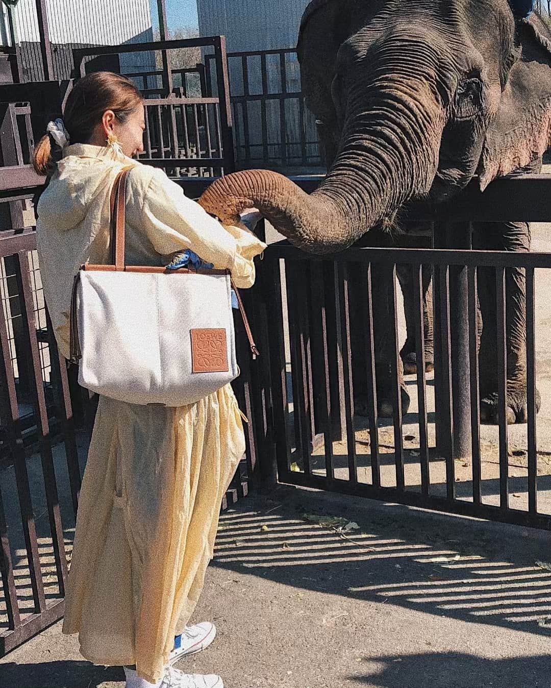 花井瑠美のインスタグラム：「全てのものや出来事にはエネルギーがある 自然も動物も言葉は話せなくても気持ちが通じるのは視えないエネルギーの周波数を受け取ってるから💞 "ありがとう"って伝えると目が合ってお鼻で頭まで撫でてきてくれたよ🐘💞 ・ 素直にありのまま感じよう🕊 ・ 人間は話せるからもっと沢山の愛を伝えられるね👼 ・ #令和#新時代#自然#人間#動物#ありのまま#平和#愛#ダンボ」