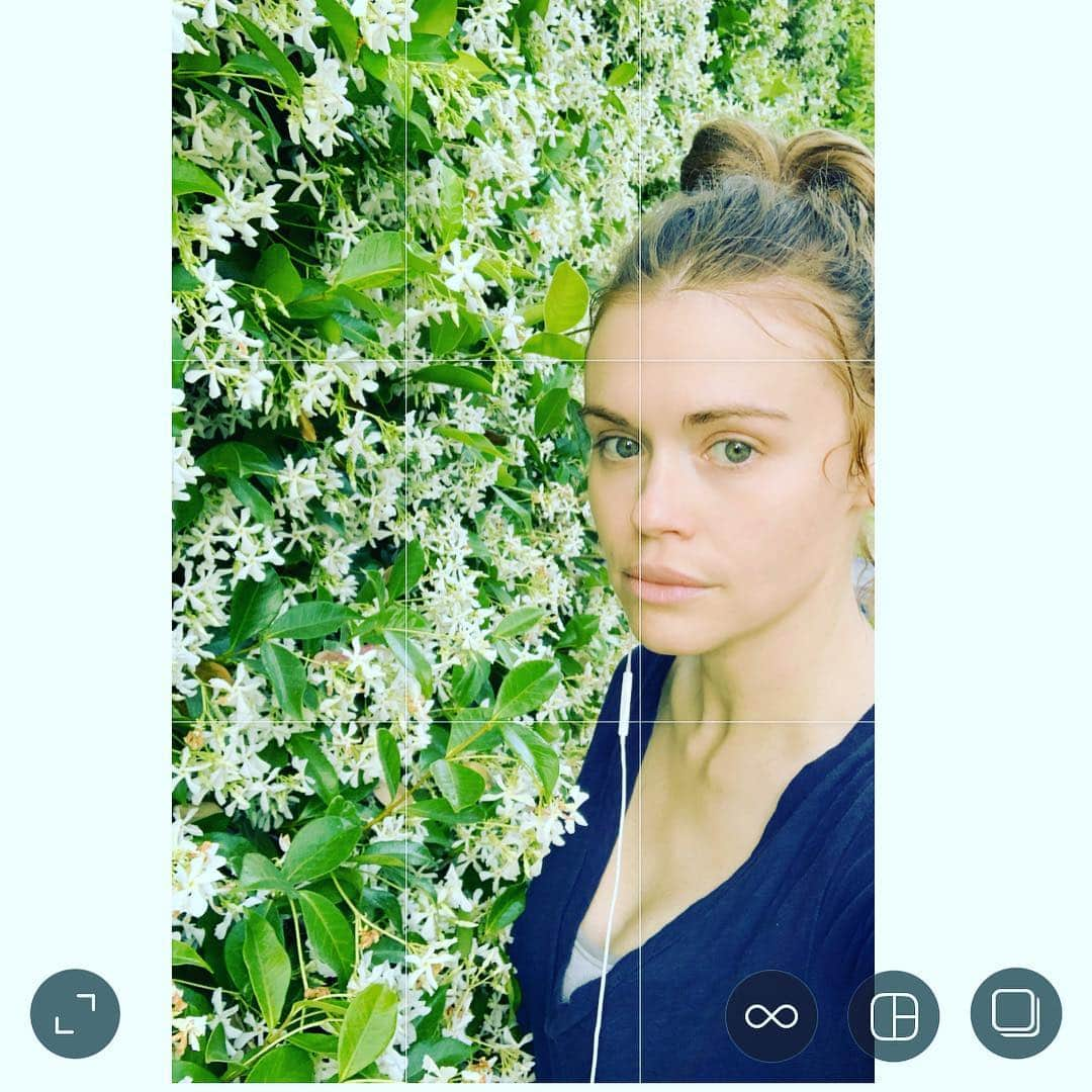 ホーランド・ロデンさんのインスタグラム写真 - (ホーランド・ロデンInstagram)「This stern face is searching for instagrams smell feature. #whitejasmine in blooom!!!!」5月4日 10時36分 - hollandroden