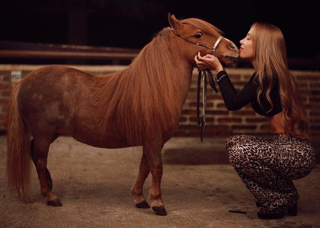 Luisa Fernanda Wさんのインスタグラム写真 - (Luisa Fernanda WInstagram)「De mi mismo tamaño ❤️ 📸 @laesquinadejulian @sansamuelminihorses」5月4日 10時38分 - luisafernandaw