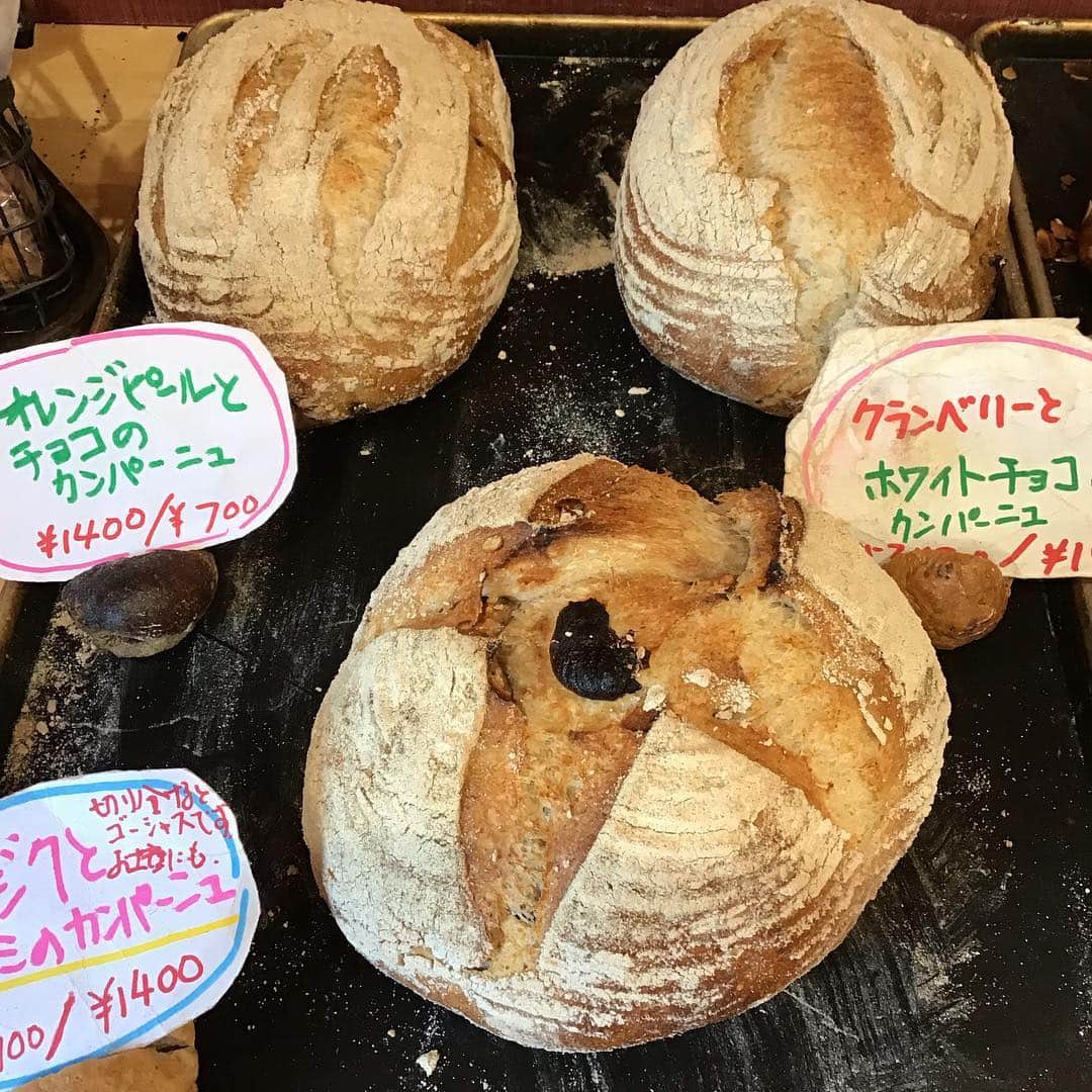 魔女菅原のグルメインスタ