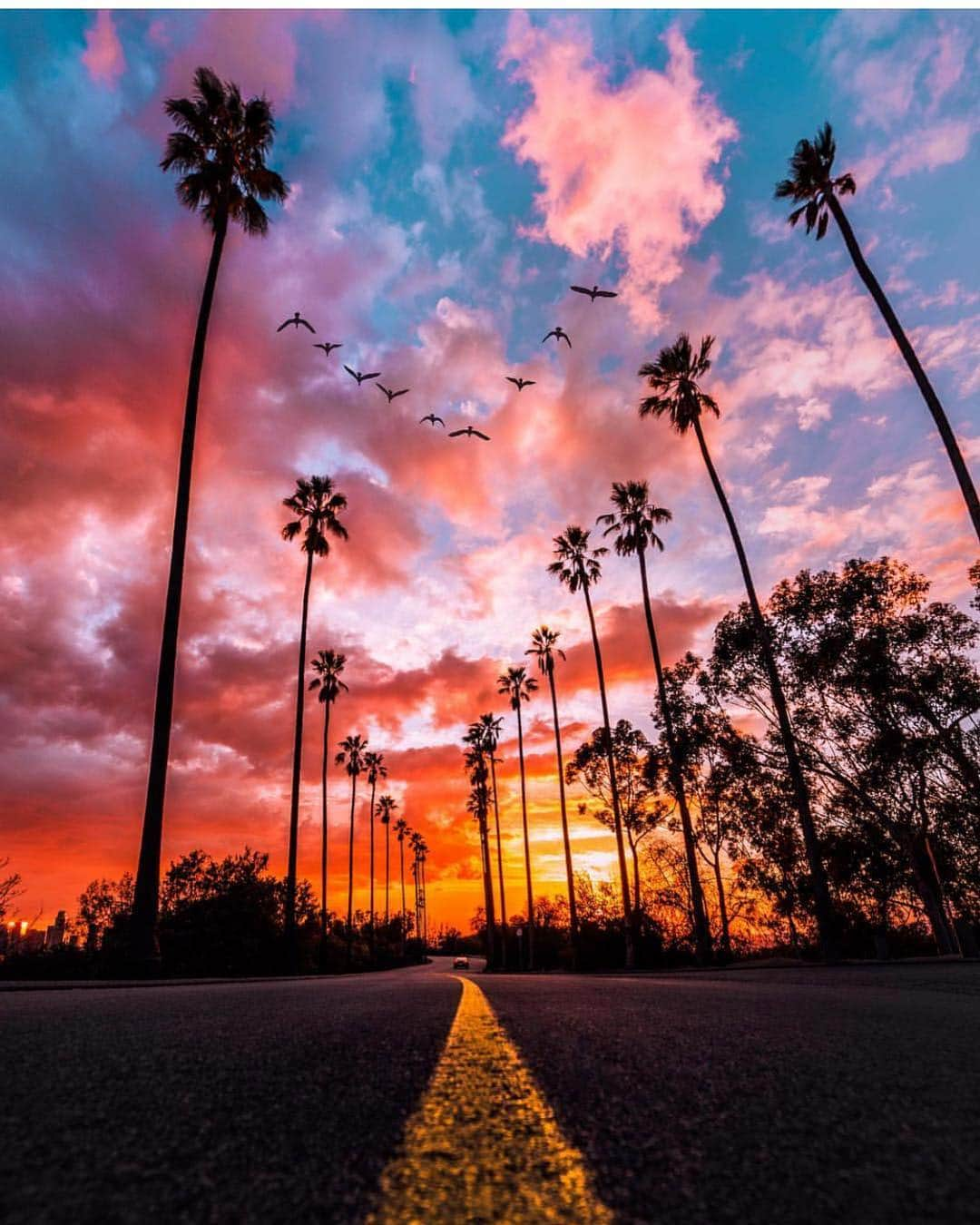 scottlippsさんのインスタグラム写真 - (scottlippsInstagram)「Goodnight beautiful skies! #tgif and hello #weekend in #cali 📷 @paolo.fortades #sunset」5月4日 11時32分 - scottlipps