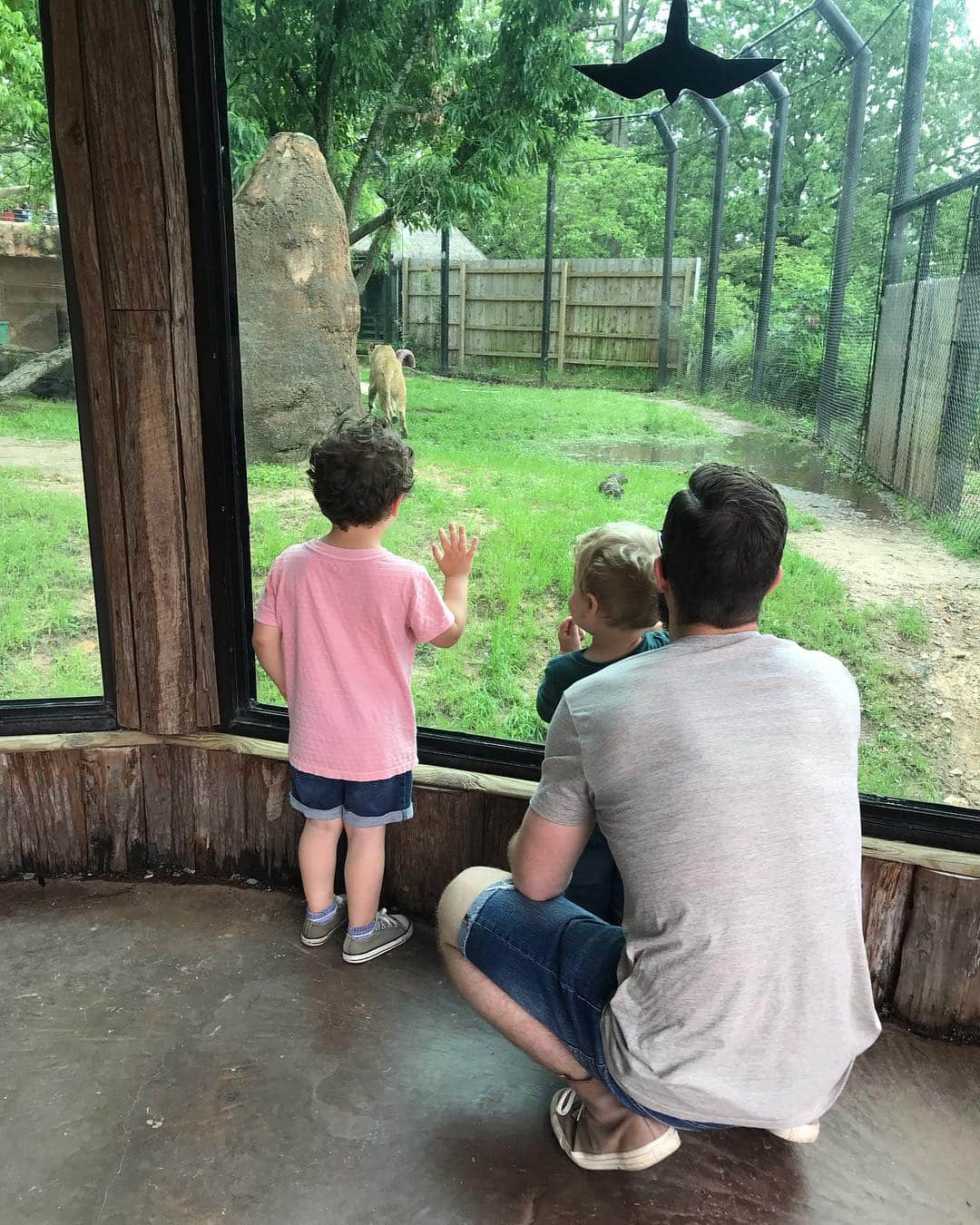ジェッサ・ダガーさんのインスタグラム写真 - (ジェッサ・ダガーInstagram)「Grandma @seewaldfamily treated the boys to their first trip to the zoo! 👦🏻💙👦🏼 They were so excited to see all the animals from their storybooks in real life! 🦓🐅🦍🐆🐘🦏」5月4日 11時45分 - jessaseewald