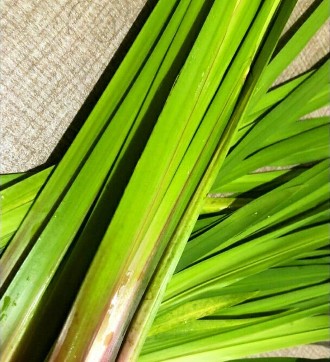 竜泉寺の湯のグルメインスタ