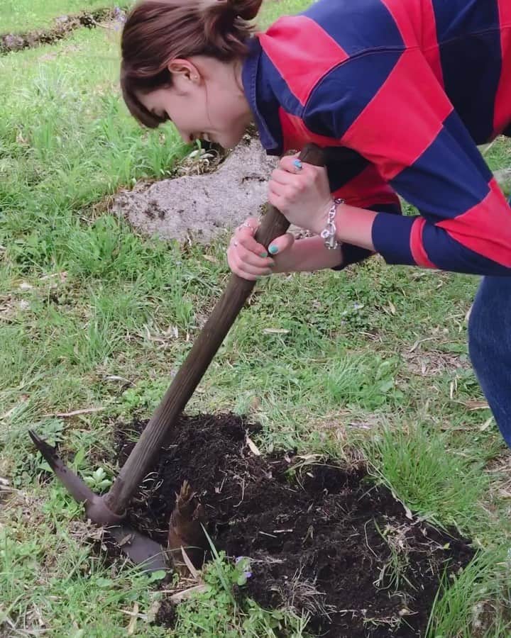 のインスタグラム：「. ママと岐阜の親戚のお家に行ってました🌿🌤 お庭でタケノコ掘りやらせてもらって、外でおにぎりと手作りの漬物をいただきながら山の水を飲んで、、、、 すごく気持ちよくて、リフレッシュになったな〜〜空気が自然の香りいっぱいでいい匂いだった🌲🌱 なぜかわからないけどすーぐ眠くなっちゃってよく寝た🤣🤣 #岐阜#GW#タケノコ掘り#タケノコ#リフレッシュ旅行#旅行#中津川#手作り漬物#空気おいしい#最高#最高すぎた」
