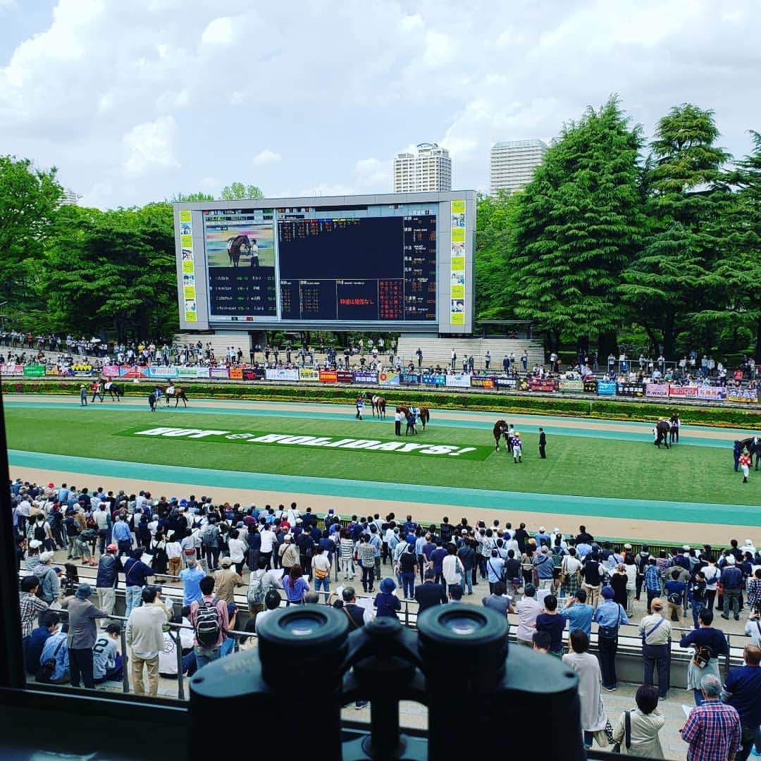 梅田陽子さんのインスタグラム写真 - (梅田陽子Instagram)「絶好の行楽日和。気持ちがいいです。東京は先週から来月にかけて、毎週G1競走🐴 大国魂神社は、例大祭であるくらやみ祭り。府中は活気があります～✌️. #仕事#晴れ#☀️#行楽日和#競馬日和#東京競馬場#馬#🐴#tokyoracecource #くらやみ祭り#大国魂神社 #g1#府中」5月4日 12時26分 - yokoumeda