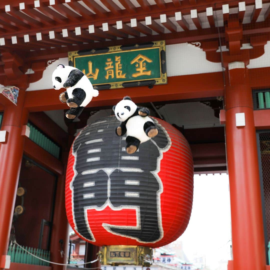 アトレ上野（atre ueno）さんのインスタグラム写真 - (アトレ上野（atre ueno）Instagram)「今日は浅草のシンボル、雷門でジャーンプ🐼✨ 浅草は上野から東京メトロ銀座線で3駅だから、とっても近いんだ🐾 東京や日本を象徴する風景としてよくパンフレットに載っているから、いつもたくさんの観光客で賑わっているよ😊🎵 実はちょうちんの底部には龍の彫刻が施されているよ✨あまり知られてないし、綺麗だからぜひ見てみてほしいな😆💓 ・ A jump shot in front of Asakusa’s iconic Kaminarimon 🐼✨ Asakusa is near to Ueno (just three stations away via the Tokyo Metro Ginza Line) 🐾 With many mentions in the pamphlets about Tokyo or Japan, this place is always bustling with tourists 😊🎵 Did you know that the base of the lantern is decorated with an elaborated dragon carving? ✨ Not many people know of it, so see it for yourself when you’re there! 😆💓 ・ 在淺草的標誌“雷門”前的跳拍 🐼✨ 從上野站乘搭東京Metro地鐵的銀座線只需三個站 🐾 由於淺草時常在有關東京或日本的傳單中被提起，這裡總是熱鬧非凡 😊🎵 你曉不曉得燈籠的底部具有精心雕刻的龍雕？✨ 知道的人不多，所以當你到那裡時請親自看看！😆💓 ・ ・ ・ ・ #上野 #アトレ上野 #アトレ #atre #atreueno #パンダ #上野パンダ #上野散策 #熊猫 #東京觀光 #PANDA #🐼 #ueno #tokyotour #ぬい撮り #上野観光 #雷門 #浅草 #浅草観光 #浅草寺 #asakusa  #asakusatemple #仲見世通り #tokyotravel #お寺巡り  #ぬい旅 #sensoji #ぬい撮り部 #パンダ好き #パンダマニア」5月4日 13時31分 - atre.ueno