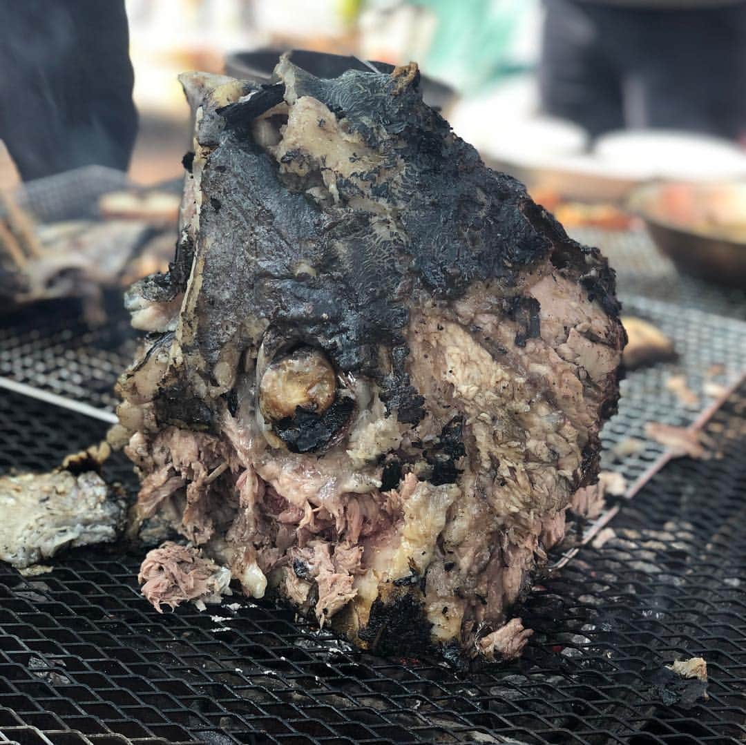 のインスタグラム：「【みんテレBBQ】開催！！ 新鮮なアスパラ、しいたけ、ホッケ、 肉、さらにはマグロの頭まで！！ しかも、飲みものは各地の名酒をビュッフェ形式で🍷  仕込んだかいがありました😝  #uhb #みんテレ #花見 #BBQ」
