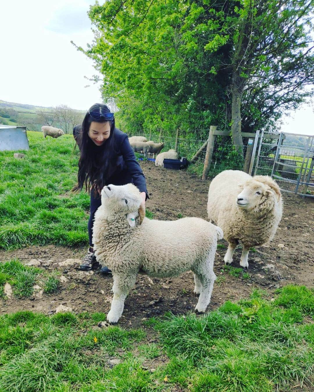 水沢アリーさんのインスタグラム写真 - (水沢アリーInstagram)「Got new friends in UK🌈 ・ 新しいお友達とイギリスの大自然に癒されております🍀 ・ #england #アリーイギリス通信」5月5日 1時01分 - ally_mizusawa