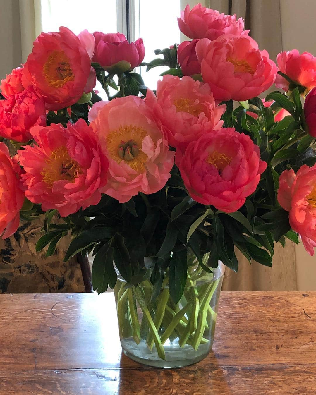 アイナ・ガーテンさんのインスタグラム写真 - (アイナ・ガーテンInstagram)「Peonies in Paris.  #sigh」5月4日 23時27分 - inagarten