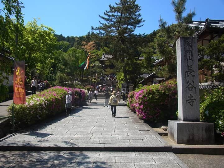 小嶋晶子のインスタグラム：「Went to Hase temple. Hase temple is often called the ‘Flower Temple’ because it has flower-filled precincts throughout the four seasons. Peonies are particularly very popular among people. The best known legend of this temple is the story of the peony and Empress Mezu-Bunin. The story goes that the Empress Mezu-Bunin, who excited in China about 1,000 years ago, had a golden heart but her face was ugly. It looked like a horse. One day she heard magical power of the Eleven-faced Kannon, the Buddha of Compassion of Hase temple in Japan. She prayed for the Hase Kannon from China to change her looks, and the Kannon heard her prayer. Her wish was granted and she became incredible beautiful. In appreciation for the Kannon she gifted a lot of treasures to Hase temple and those gifts included several peonies. This is the beginning of beautiful peonies in Hase temple. 四季を通して様々な花が咲く「花の御寺」と名高い長谷寺へ。毎年牡丹の時期に訪れていますが、今回、法話で聞いた「牡丹と長谷寺の伝説」が面白い。ギュッと要約すると“唐の時代の中国、馬頭夫人(めずぶにん)という名の心はめちゃくちゃ美しいけど、見た目が・・・な皇妃が自分の容姿に悩んで、長谷寺の十一面観音に「美人になりたい!」と願ったら、絶世の美女に!感謝感激雨あられで送った、たくさんの宝物の中に牡丹があり、これが長谷寺に咲く牡丹の始まり..だそう”。私も観音様にしっかりお願いしてきました🤣 #hasetemple #hasederatemple #peony #peonies #nara #japan #🌺 #🇯🇵」