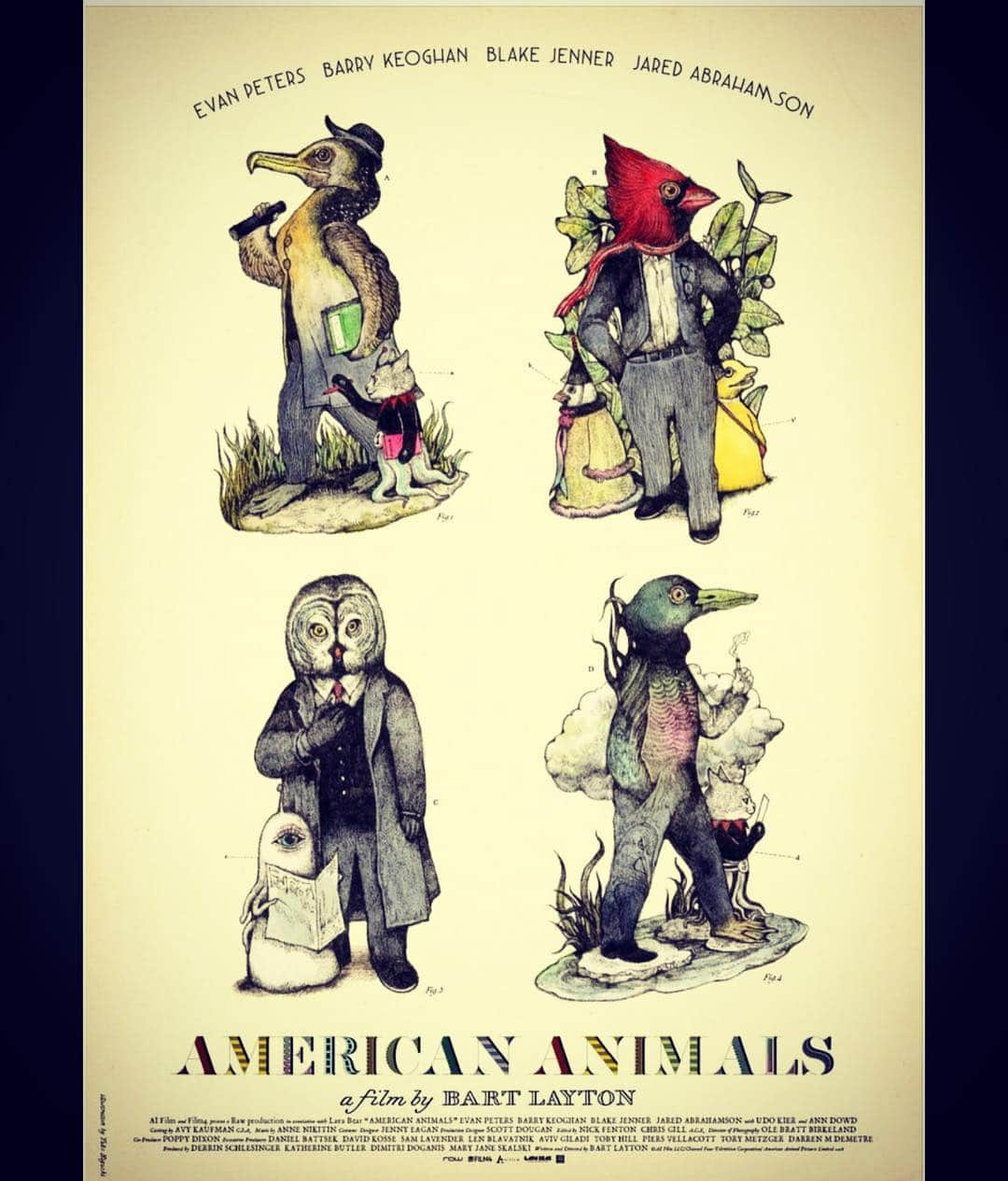 ヒグチユウコさんのインスタグラム写真 - (ヒグチユウコInstagram)「@americananimalsfilm の日本版のキャンペーンポスター？を描きました。デザインは #大島依提亜 さん @oshimaidea  ほかにも #100%orange さん #羽鳥好美 さんも。劇場に貼ってあるそうです。 #映画 #movie #americananimals」5月4日 23時53分 - yukohiguchi3