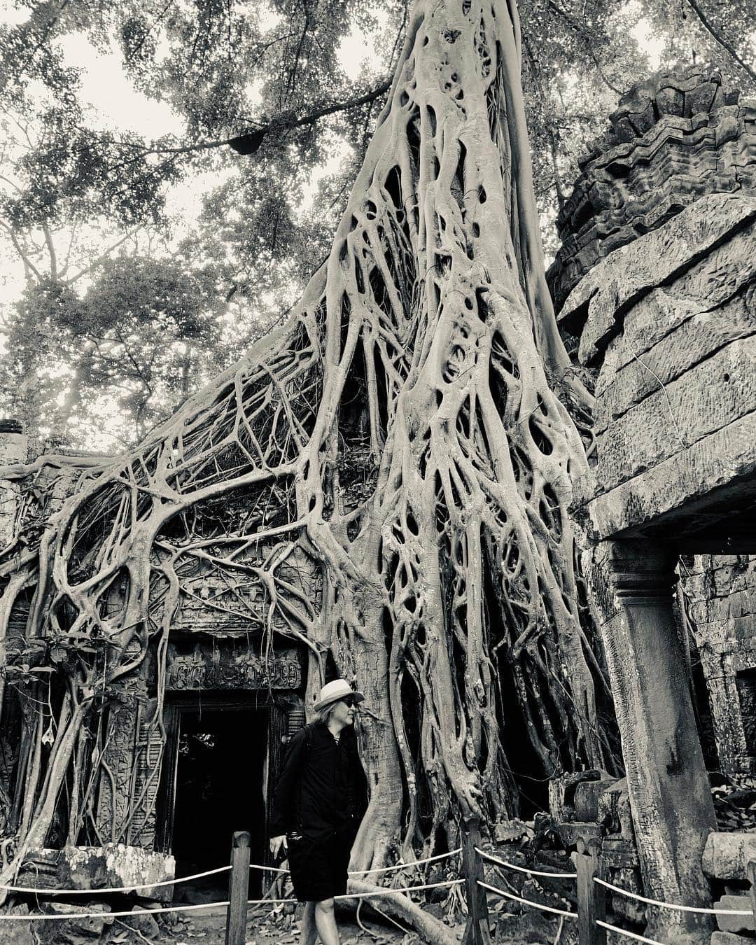 谷川じゅんじさんのインスタグラム写真 - (谷川じゅんじInstagram)「Beautiful nature and Ancient wisdom. Bye bye Cambodia.  #goodvibesonly #goodneighbors #beautifulcountry #cambodiatrip #thisiscambodia」5月5日 0時19分 - junjitanigawa