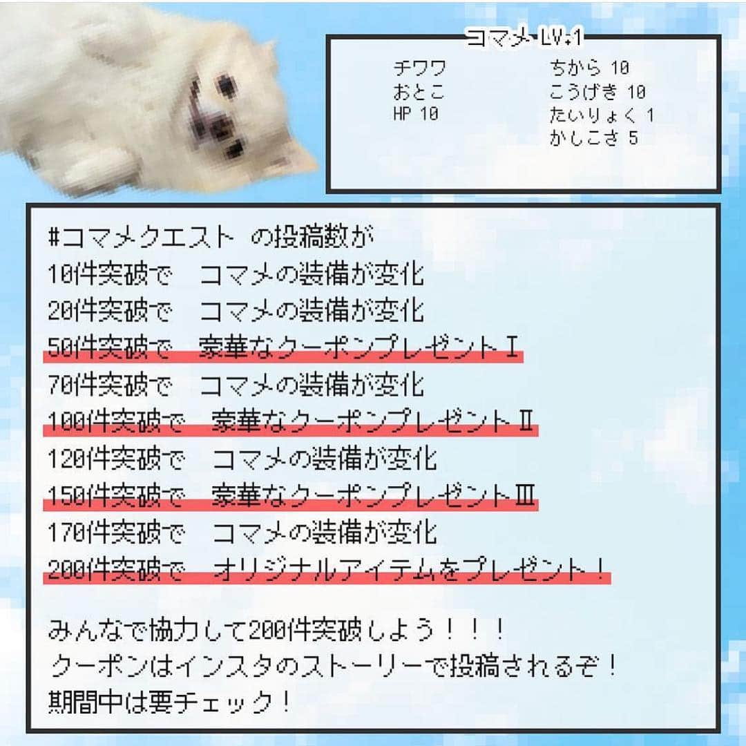 iDog&iCatさんのインスタグラム写真 - (iDog&iCatInstagram)「#コマメクエスト への投稿が150件を突破しました！ 皆様ありがとうございます♪ ・ 投稿数が150件突破！ コマメは「3000円以上購入で送料無料クーポン」を手に入れました✨ ・ クーポンは↓またはストーリーから獲得できます！ https://coupon.rakuten.co.jp/getCoupon?getkey=QlhKWS1BTTUyLVQzVkwtQ01UWg--&rt= ・ ・ ・ レベルも150まであがりました！ コマメクエストはまだまだ続きます！ 次はどんな装備になるでしょう？！ 引き続き皆様の投稿をお待ちしております☆ ・ ・ ・ ⚔ 平成〜令和へ改元記念 楽天IDOG&ICAT presents「コマメクエスト」開催★ ・ 皆さまの投稿数に応じてコマメの装備が変わったり、豪華クーポンやプレゼントがあります🎁 投稿数が増えるほど獲得できる装備やクーポン・プレゼントが増えていきます！ ・ 参加方法は、IDOG&ICATの商品を身につけたペットの写真に #コマメクエスト をつけて投稿するだけ！ お一人様何枚でも投稿可能です！ ・ 開催期間:2019/4/25-2019/5/7 9:59まで ・ クーポンはストーリーで投稿されます。 みんなで協力して、めざせ200件★ 投稿いただいた写真は後日、楽天idogのページで紹介させていただきます！ たくさんの投稿お待ちしております！！ ・ #idogicat #icat #idog #犬の服idog #看板犬コマメ #どすこい  #改元記念 #チワワ #楽天idog」5月5日 0時44分 - idogicat