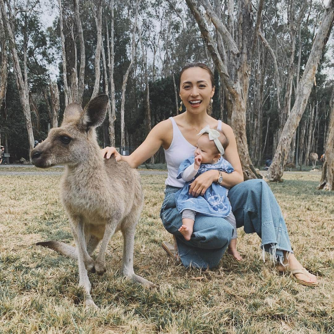 里見茜さんのインスタグラム写真 - (里見茜Instagram)「初めてのご対面。 kangaroo🦘✨興味津々でいい感じの距離感が可愛かった🤣💗 #currumbinwildlifesanctuary  #Zoo#goldcoast #Australia#Gw」5月4日 16時00分 - satomiakane