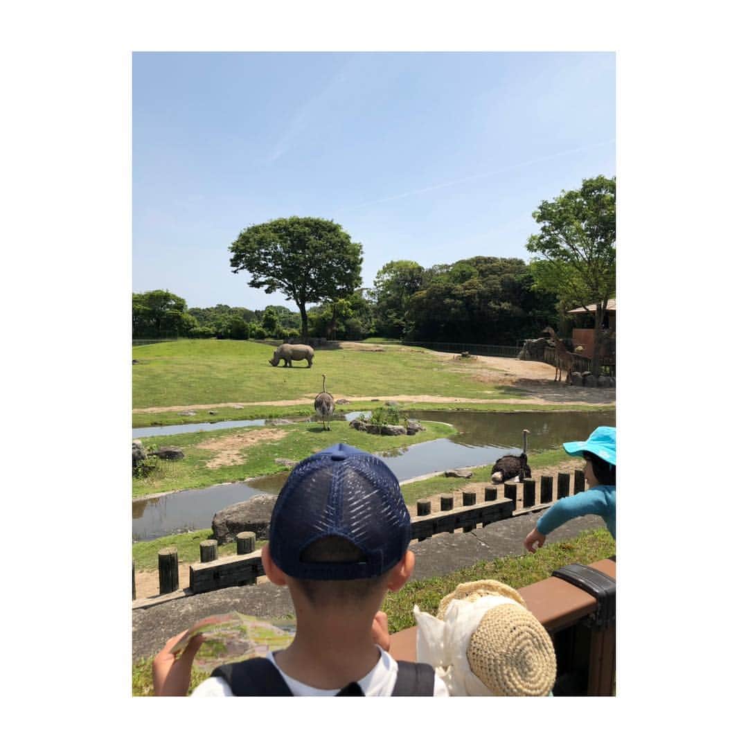 笹峯愛さんのインスタグラム写真 - (笹峯愛Instagram)「2019.5.4 電車とバスで、平川動物園へ。  ゴールデンウィークらしく 割と混み合っていたけれど 東京辺りの、動物園に比べたら そこは鹿児島。  寂しすぎず、賑わいすぎず ちょうど良いあんばいでした。  何よりも、動物達が なんか元気。  普段より多いお客さんに興奮してるのか サービス精神出してるのか  まぁ、よく動くし タイミング良く顔を出したり 観覧者の前に近づいてくる子達ばかり。  動物図鑑でしか見たことなかった キリンが水を飲む姿も生で見れました（笑）  後ろには、薄っすら桜島も見えて 良い景色の中で  動物達に負けずに 興奮して元気なデデは  説明文を読んだり 知ってることをいろいろと教えてくれたり テンション高め。  好きな事を絡めて 文章を読む、要点をつかむ、考える 良い時間になりました。 #鹿児島 #平川動物園 #桜島」5月4日 16時05分 - mineco.m