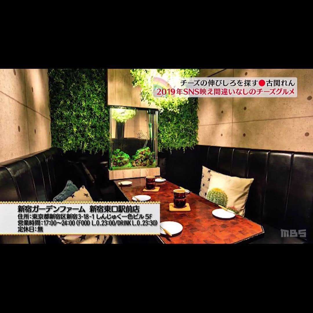 新宿ガーデンファーム 新宿東口駅前店のインスタグラム：「こんにちは新宿ガーデンファームです😊 . 報告です‼️先日番組取材が入りました😎 . 読者モデルの古関れんさんが話題のSNS映え間違いなしのチーズグルメということでうちのシカゴピザを紹介してくださいました☺️🍕 . 番組タイトル【Kawaii JAPAN-da‼︎】でMBSテレビで放送されていてGYAOでも配信中です😍😍 . 皆さまぜひご覧ください‼️ . #ガーデンファーム新宿#新宿#イタリアン#ダイニングバー#居酒屋#鎌倉野菜#チーズフォンデュ#女子会#シカゴピザ#ピザ#チーズ#パネチキン#ダッカルビ」