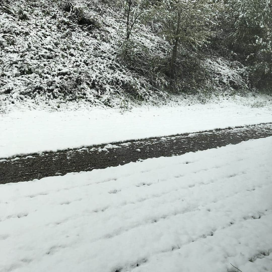 パストール・マルドナドさんのインスタグラム写真 - (パストール・マルドナドInstagram)「Is a Race Day! Good Morning from SPA. #snow #day #spafrancorchamps #raceday #racing #ready #top #1 #31 #great #lets #go #for #it #instagram #instagoog #6hspa #bellhelmet #dragonspeed #pastormaldonado」5月4日 16時34分 - pastormaldo