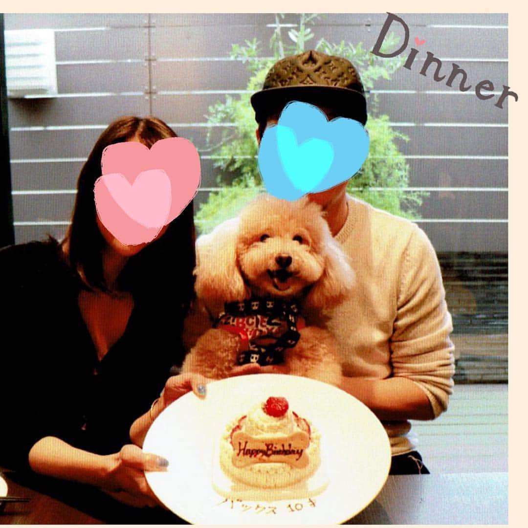 バックスさんのインスタグラム写真 - (バックスInstagram)「♡Happy Birthday バックス♡ 10歳のお誕生日🎂🎉 あっという間の10年間！ まだまだ元気でやんちゃ！ もっともっといっぱい一緒に楽しいことしようね♡  #トイプードル #toypoodle #家族 #ペット #愛犬 #10歳 #バースデー #愛犬ヴィレッジ #ディナー #バースデーケーキ」5月4日 16時57分 - bellusbacks