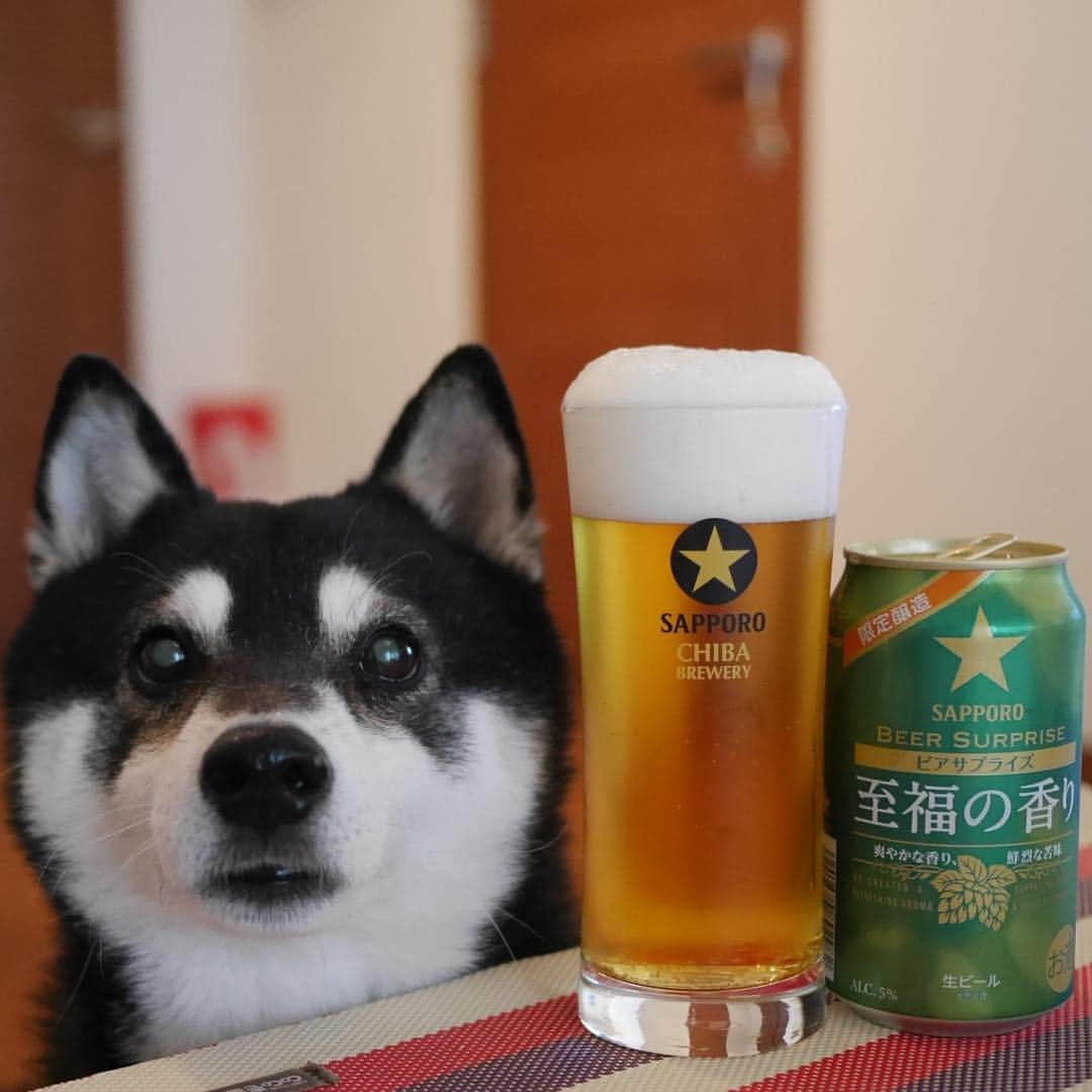くろのインスタグラム