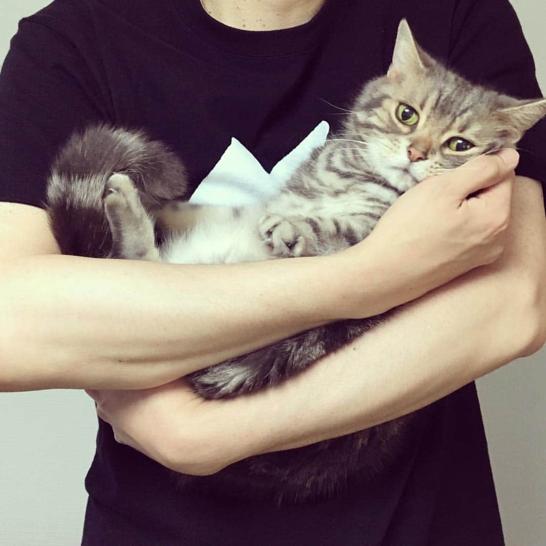 なごむさんのインスタグラム写真 - (なごむInstagram)「※ のはら農研塾さんのスイカ🍉 と ウチのスイカ🐈 そのこころは。  #どちらも水々しいでしょう #どちらも中身が詰まっているでしょう @nohara_nouken」5月4日 17時48分 - matsumotoooooo