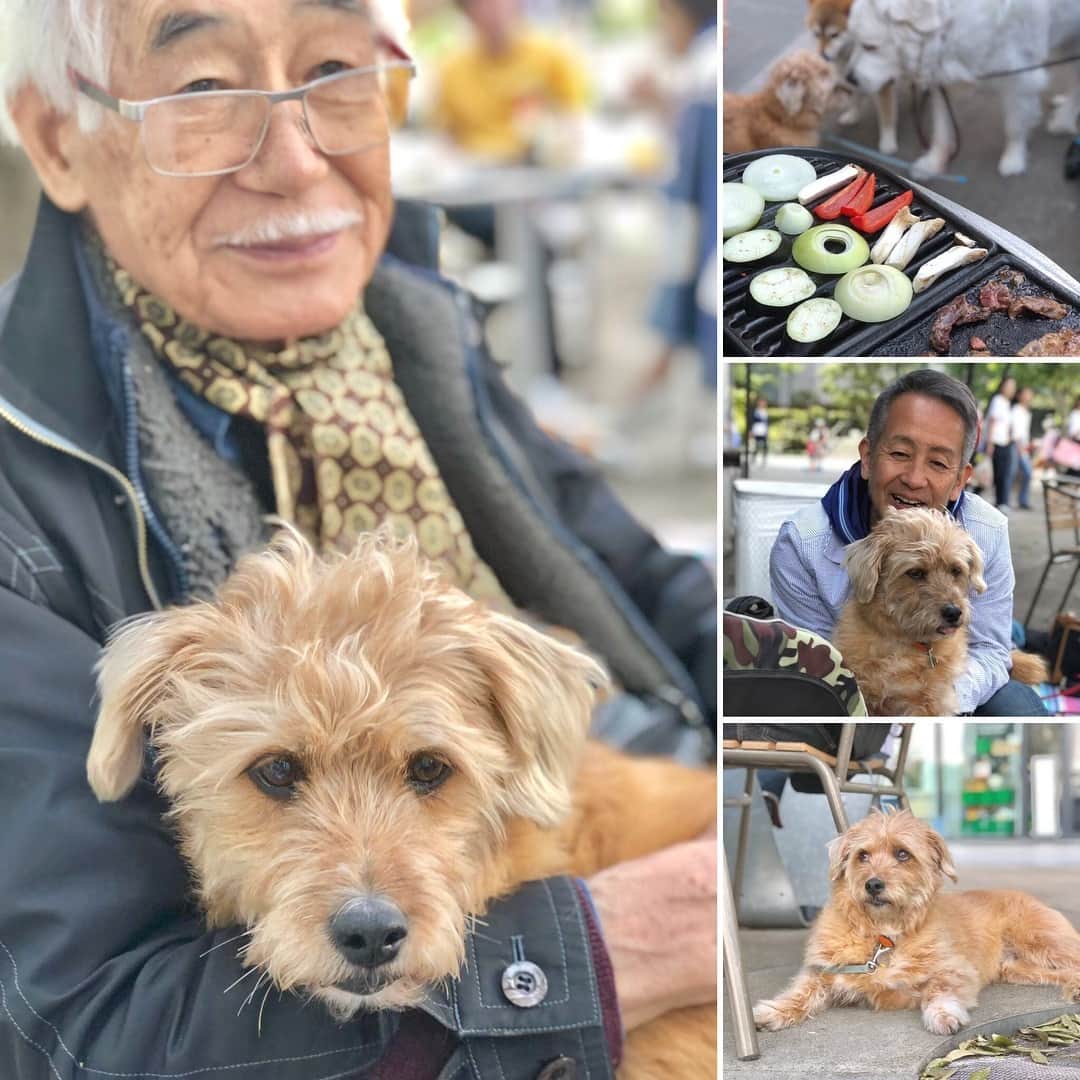 宮本亜門さんのインスタグラム写真 - (宮本亜門Instagram)「BBQ🍖🍖🍖おじいちゃんも参加したよ。 #保護犬 #ビート #宮本亜門 #BBQ」5月4日 18時08分 - beatamon