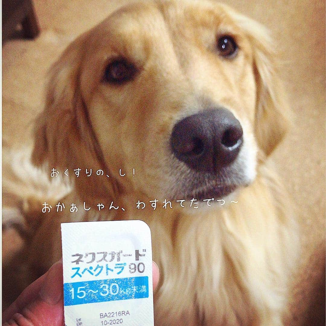 ikumiのインスタグラム