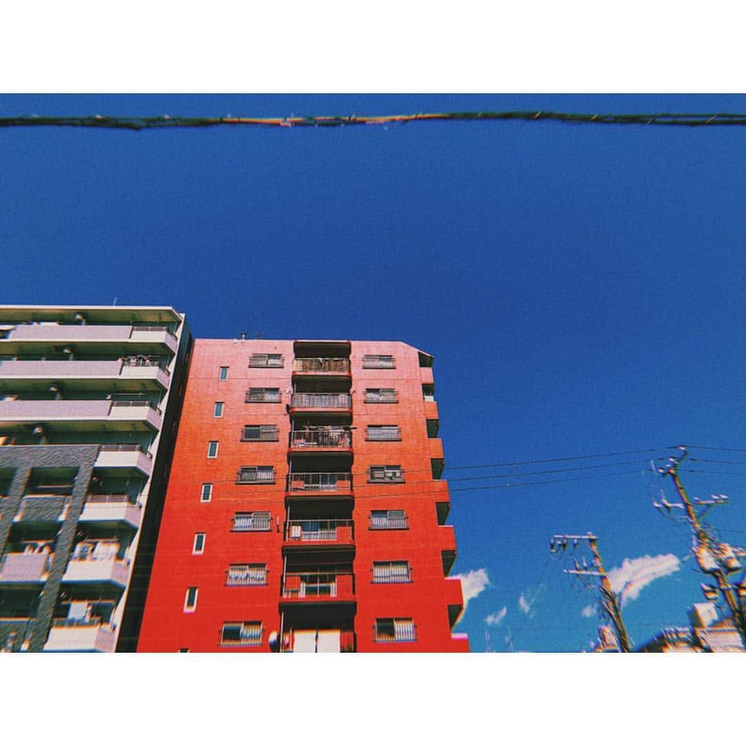 中塚智実のインスタグラム：「🔴🔵 . ハッと立ち止まってしまうくらい綺麗な赤と青だった . #camera #cameragirl #cameraapp  #カメラ #カメラ女子 #カメラアプリ  #huji #フィルム風」