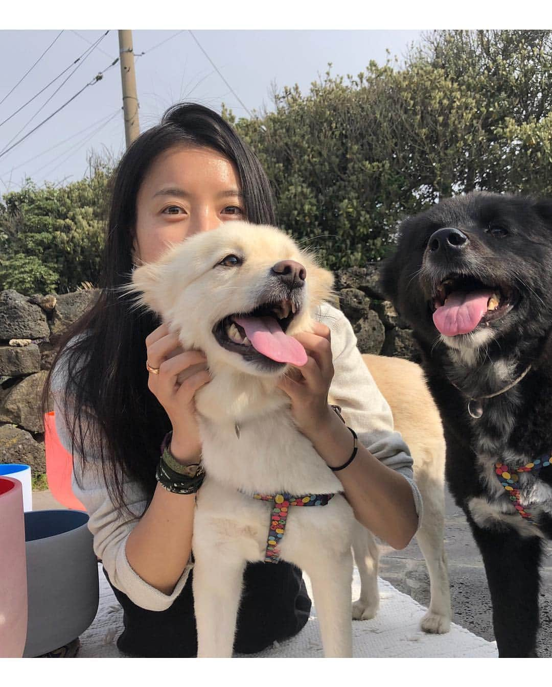 ハン・ヒョジュさんのインスタグラム写真 - (ハン・ヒョジュInstagram)「반가웠어요! In jeju, I met a friend who haven’t seen for a long time. What a Small world! And I heard crystal bowls sound ,I’ve never heard sound  like that before.heal and good to maditating.thanks for sharing this good time. And bandi and poo. 🐶They are Sooooooooo cute! It was pleasure to meet you guys! See you again someday,somewhere! #budimudra #yogasaenal#jeju#livetogether 🌿🌏」5月4日 19時31分 - hanhyojoo222