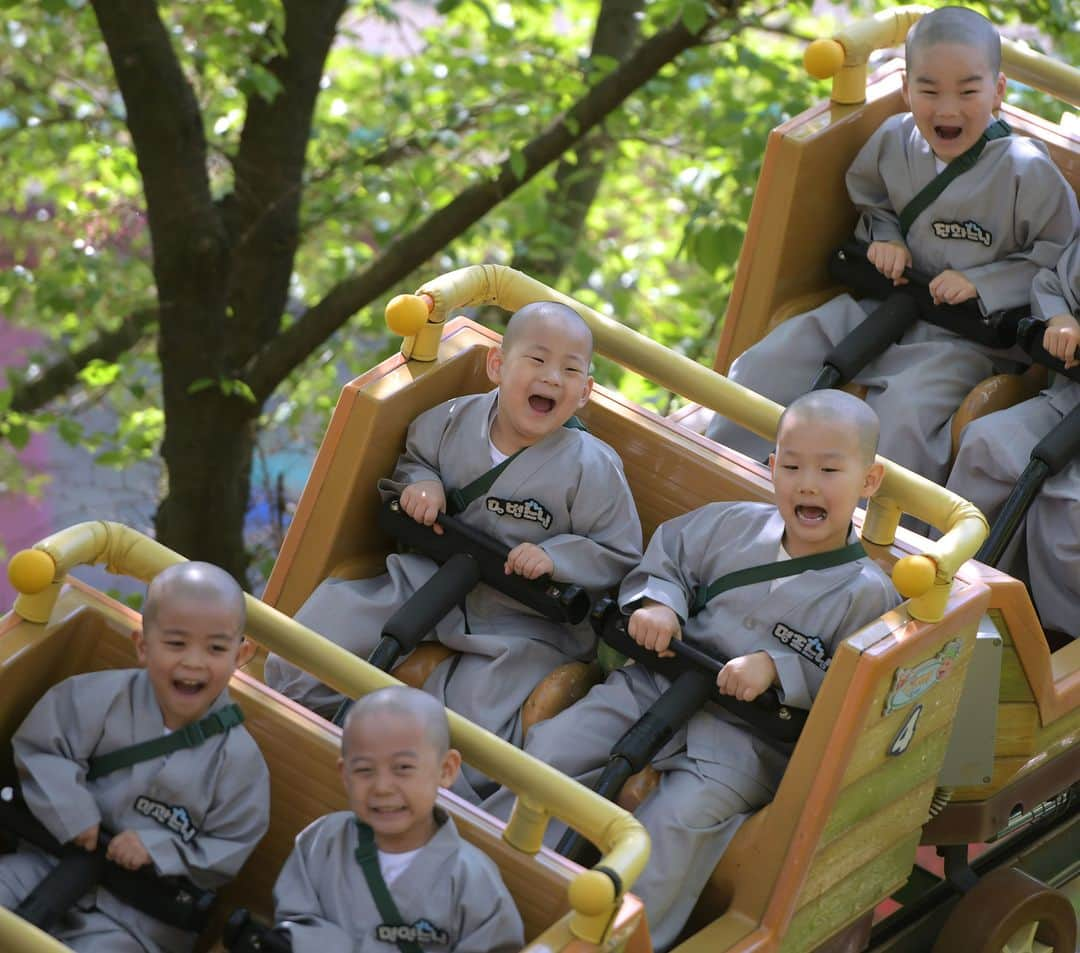 AFP通信さんのインスタグラム写真 - (AFP通信Instagram)「AFP Photo 📷 Jung Yeon-je - South Korean children monks visit an amusement and animal park during their training program learning about Buddhism in Yongin, south of Seoul, on May 2, 2019. . A special temple-stay program for children to learn about Buddhism, including shaving their heads and wearing monk's robes, continues for three weeks ahead of celebrations for Buddha's birthday on May 12. . #Buddhism #monks #Childrenmonks #monk」5月4日 19時44分 - afpphoto