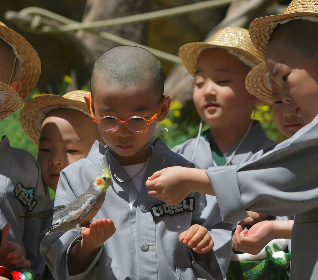 AFP通信さんのインスタグラム写真 - (AFP通信Instagram)「AFP Photo 📷 Jung Yeon-je - South Korean children monks visit an amusement and animal park during their training program learning about Buddhism in Yongin, south of Seoul, on May 2, 2019. . A special temple-stay program for children to learn about Buddhism, including shaving their heads and wearing monk's robes, continues for three weeks ahead of celebrations for Buddha's birthday on May 12. . #Buddhism #monks #Childrenmonks #monk」5月4日 19時44分 - afpphoto