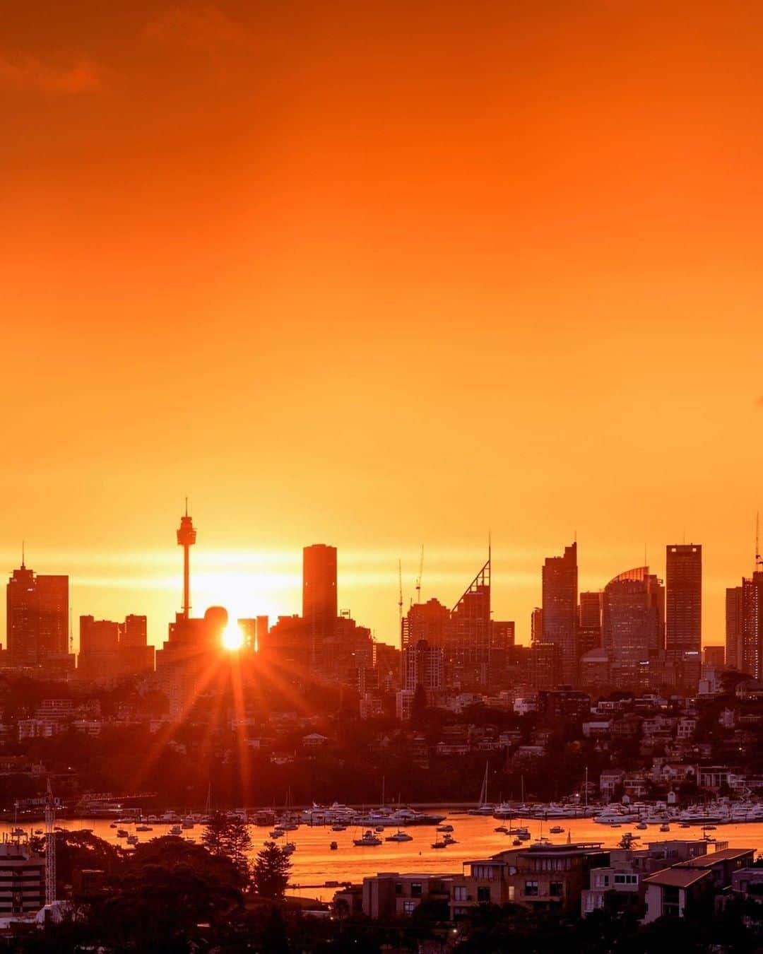 Australiaさんのインスタグラム写真 - (AustraliaInstagram)「@sydney at golden hour makes for a seriously stunning sight 🤩  According to @elisaeves, this was “some of the most intense sunset glow” she has ever seen. Captured from #DudleyPageReserve in the suburb of #DoverHeights, this spot delivers sweeping views of the city’s #skyline as well as the harbour, and is a favourite with the locals who like to get snap-happy here, especially at sunrise and #sunset. TIP: Pack a picnic and throw down a rug in the park so you can indulge your taste buds while feasting your eyes on the unforgettable panoramic views. 😉  #seeaustralia #ilovesydney #sydneylocal #sunset #sunsetlovers」5月4日 20時00分 - australia