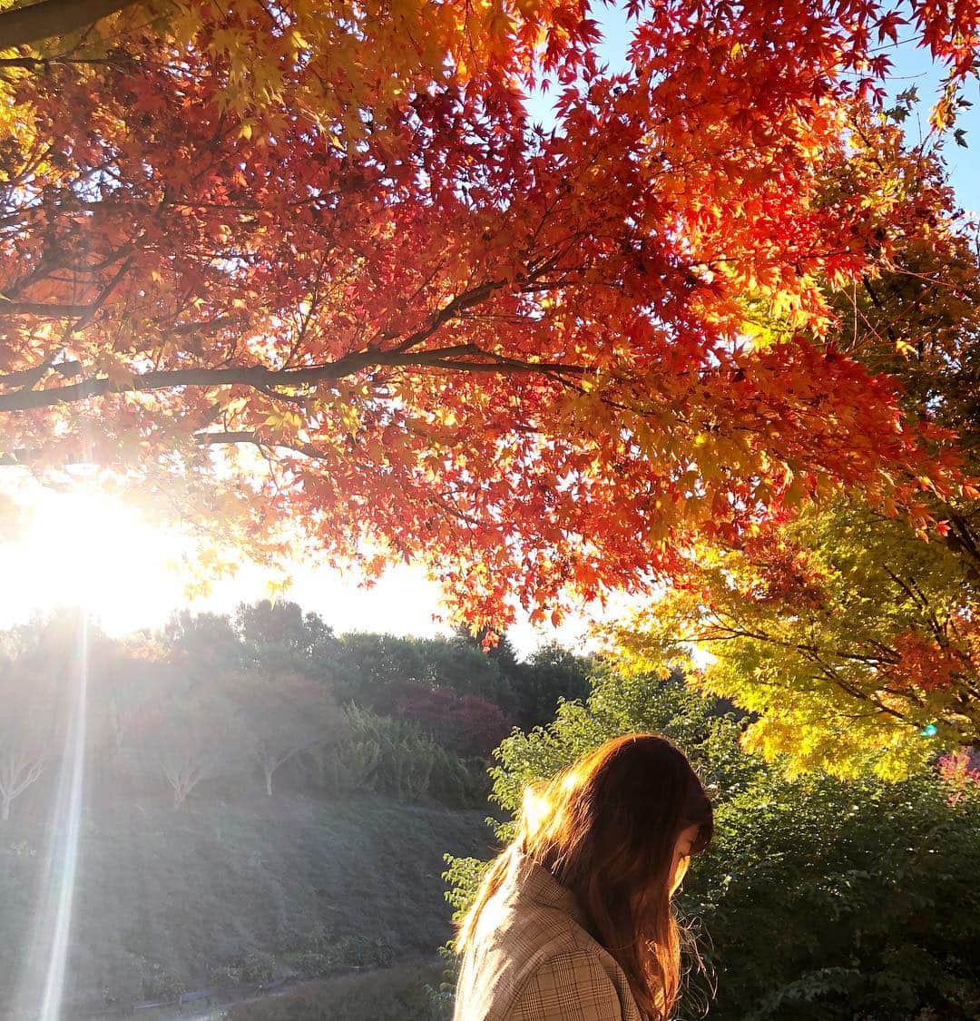 徳永千奈美さんのインスタグラム写真 - (徳永千奈美Instagram)「🍁Autumn leaves 🍁  #abroad  #autumn  #autumnleaves  #happy  #smile  #mylife  # @17kg_official」5月4日 20時17分 - chinami.tokunaga