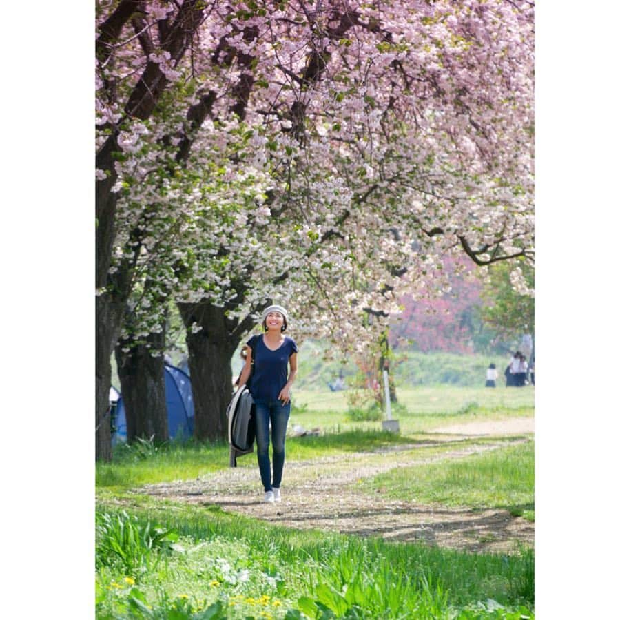 のインスタグラム：「長野にある小布施へ。桜と菜の花🌸🌼が満開。 本当にここは最高だったなぁー❗️ 4キロほど桜並木が続いてるんです🌳花の冠作ってくれた❤️あ、私ではないw みんなで撮影会したり😊ホッコリ✨ . 善光寺や栗が有名な🌰小布施を散策。 古民家レストランや喫茶店で栗を満喫したり。 みんなで歩いてわらってプラプラ🤣 . 🇺🇸アメリカのご縁で繋がったみんなと 日本を旅するのもすごく楽しい。 誰とどこで過ごす時間が醍醐味❤️ . どんなところでも、 大好きな人たちとなら楽しめるってことですな。 . キャンピングカーでも借りて、 予定せず地図を見ながら日本列島回りたいと思った🇯🇵🗾 あぁ、前から友人には言ってるけど。。。 移動できる家（#タイニーハウス)欲しいー💚  海外でも最近お洒落なデザイン多くて人気です。 . #Nagano #Hakuba #travel #family #happy ##旅 #長野 #小布施 #🌸 #桜 #八重桜 #菜の花 #新緑 #春 #green #cherryblossom #picnic #ピクニック #平野宏枝 #日本 #japan」