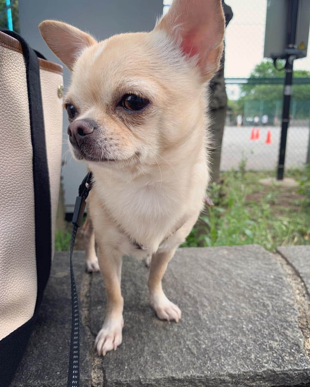 巴田みず希のグルメインスタ