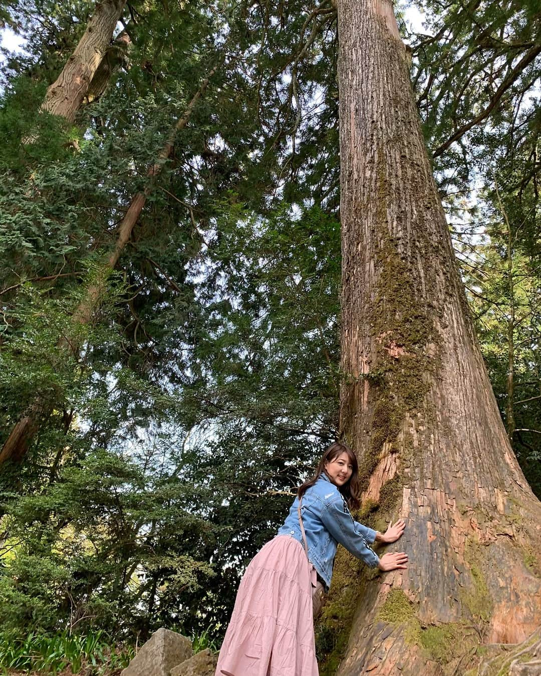 佐々木もよこさんのインスタグラム写真 - (佐々木もよこInstagram)「木のパワーをもらった✨🌲✨ . . 自然て素晴らしいよね🐰💖 . . マイナスイオンたっぷりあびた💕💕 . . . . . #箱根神社#御神木#木#旅行#箱根#ワンピース#ファッション#fashion#hakone#instafashion#pink」5月4日 20時53分 - moyoko_atom