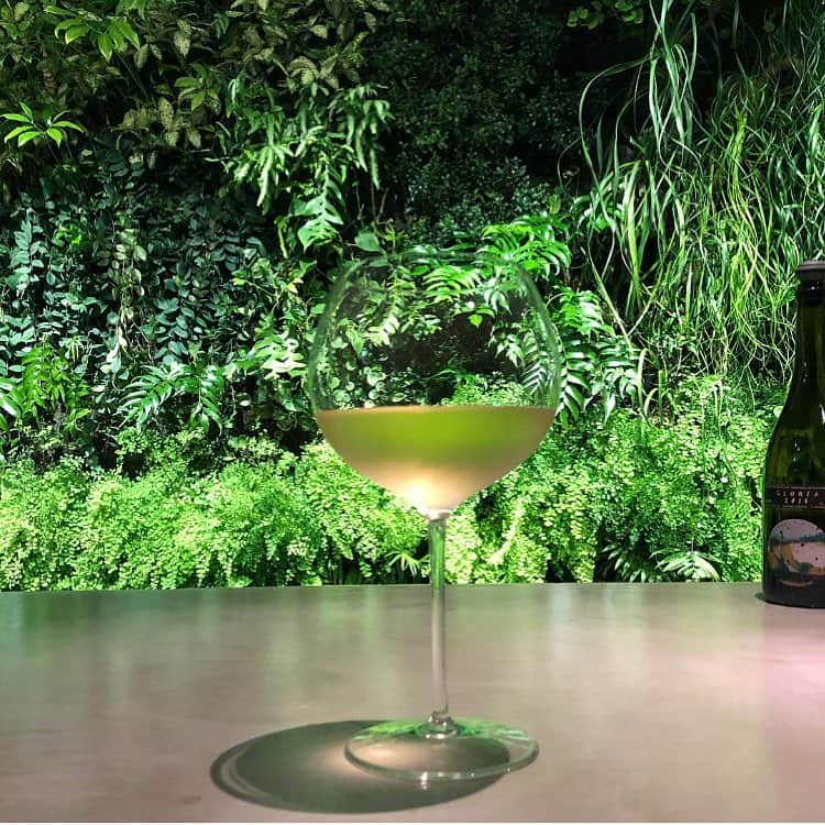 榊山敬代のインスタグラム：「🌳🌿🍃… ・ 5月4日土曜日のきょうは  #みどりの日 とのことで  昨夜にめぐり逢いました グリーンスポットの記録  久しぶりにテンションが 高まりました空間でして  BGMもセンスよくて ワクワクしました夜  植物はすべてが本物なのでこまめに 業者さんが手入れされてる背景など  １００パーセントな心遣いが そのまま伝わってくるかんじ  遊び心を真剣に徹底されてるかんじ 素直にしあわせ心地になるのでした  ところで 店内では  とある話題になりまして  つづく… ・ ・ ・ 🌸" 作品展示情報… ・ 『第7回 郷さくら美術館 桜花賞展』 ・ 会場：郷さくら美術館 ・ 「郷さくら美術館　桜花賞」展は、「桜」を描いた現代日本画を多くの方々にご覧頂き、日本画の素晴らしさを再発見してもらうことを目的とした展覧会です。今回もこれからの活躍がますます期待される日本画家31名が、日本美術でおなじみの「桜」という大変難しいモチーフを相手に、それぞれの持ち昧を生かした個性的な素晴らしい桜の絵画に仕上げています。現代日本画家たちの個性を、豊かな桜花の美しさを、どうぞお楽しみください。  東京都目黒区上目黒1-7-13　 TEL：03-3496-1771  東急東横線、東京メトロ日比谷線 中目黒駅より徒歩５分 ◼︎詳しくはホームページをご覧ください  #bar #ワイン #wine #白ワイン #bianco #love #green #oasis #オアシス #art #beautiful #日本画家 の #外出こんなもん #気分転換 #栄養補給 しすぎです#ゴールデンウィーク」