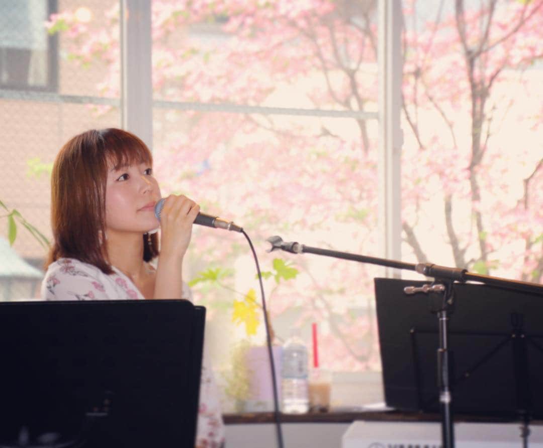 はたゆりこのグルメインスタ