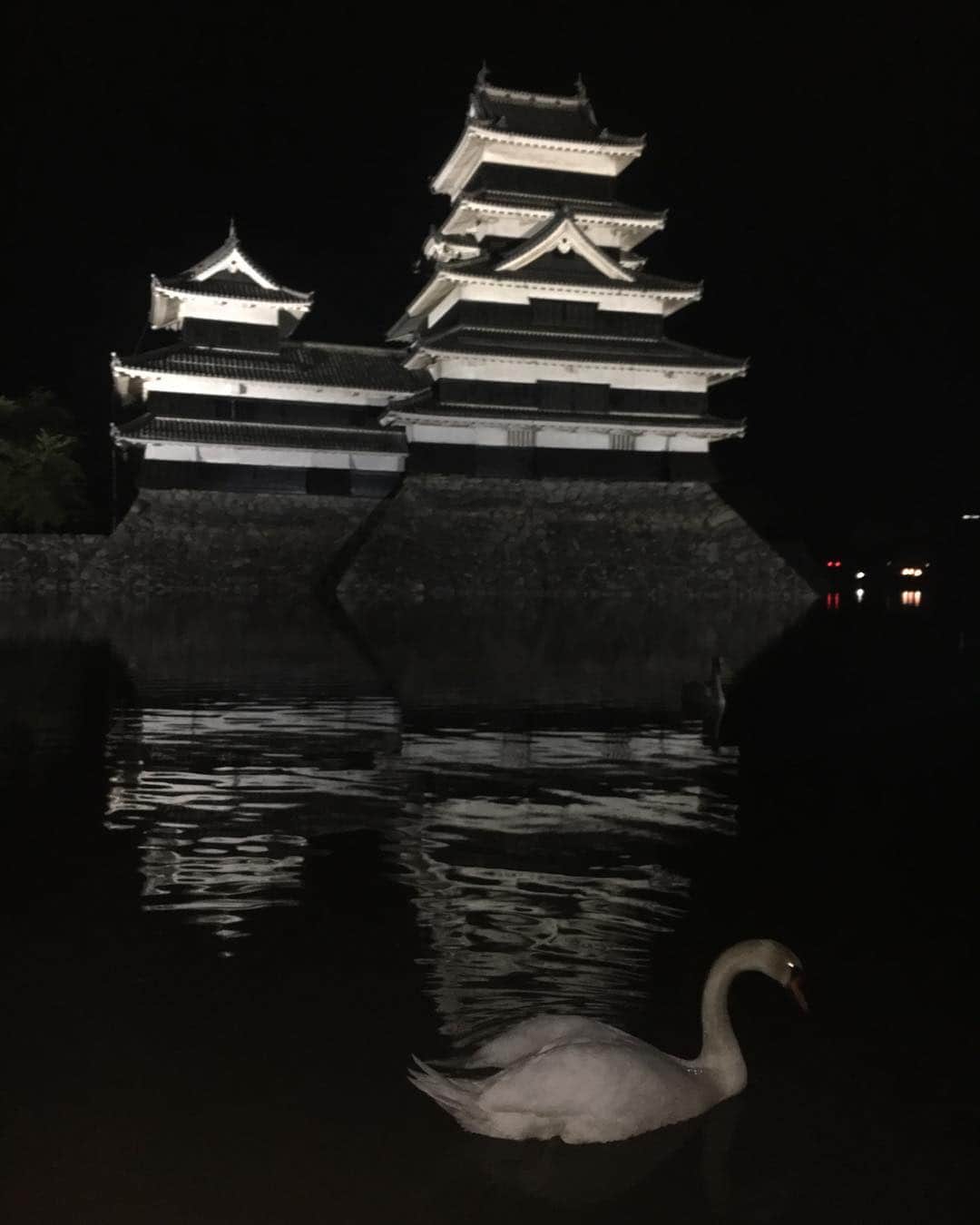 michikoscookingさんのインスタグラム写真 - (michikoscookingInstagram)「#matsumotocastle in the night.  Can you see a swan on the moat? . . 松本に行ってきました。 もう20回程度行っている 松本ですが、間違いなく 今回が一番混んでた。  恐るべし、GW💦  大好きな松本城。  昼の姿も美しいのだけど、 ライトアップされた 夜の姿は一段と美白で 荘厳として美しい。  さらにお堀に白鳥さんが 登場してくれちゃったもの だから、子どもたちと大興奮 でした。  #松本城 #松本観光 #matsumoto #gw #お城 #ライトアップ #城 #japan #japansightseeing」5月4日 21時11分 - michikoscooking