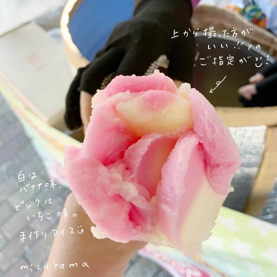 mizutamaさんのインスタグラム写真 - (mizutamaInstagram)「ピンクのリップがキュートな﻿ おばあちゃんだったな😘﻿ ﻿ ババヘラに遭遇したら絶対アイス食べるよね(笑)。﻿ ﻿ ﻿ ﻿ #ババヘラ #ババヘラアイス #アイス﻿ #花輪サービスエリア #秋田﻿ ﻿ ﻿」5月4日 21時17分 - mizutamahanco