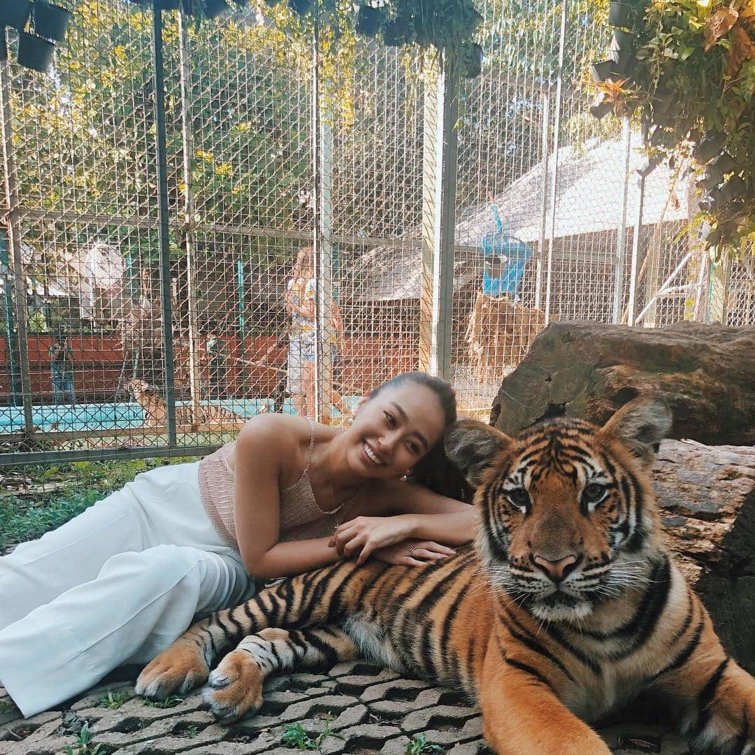 佐野友妃子さんのインスタグラム写真 - (佐野友妃子Instagram)「可愛いTiger🐅❤︎ とってもいい子だった🥺 しっかりカメラ目線💋」5月4日 21時36分 - yukikosano1111