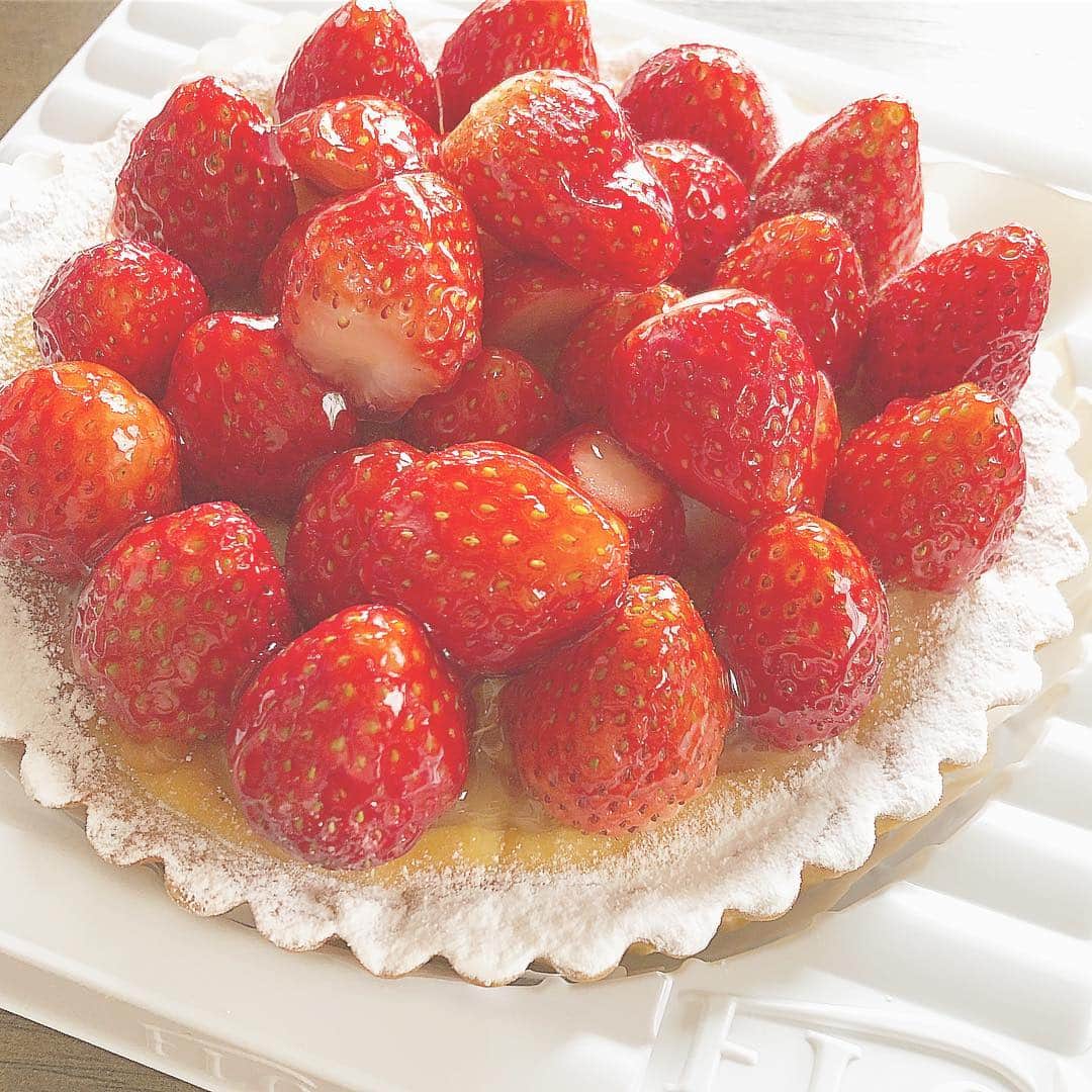 橋本香澄さんのインスタグラム写真 - (橋本香澄Instagram)「. いちごだいすき🍓 . #strawberry #berry #tarte  #my #favorite #fruit #desert #spring #may #flo #yummy」5月4日 21時47分 - _jasmine_tete_