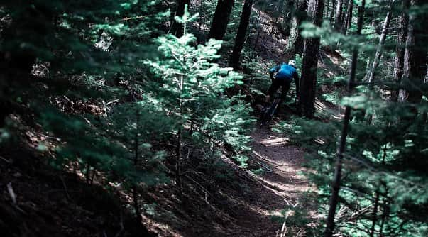 Zipp Speed Weaponryさんのインスタグラム写真 - (Zipp Speed WeaponryInstagram)「Sliding through the weekend like @natehills1 🤘 📷 @jamesstokoephoto : : : #zippmtb  #3zeromoto  #makingyoufaster  @yeticycles  @srammtb」5月4日 22時00分 - zippspeed