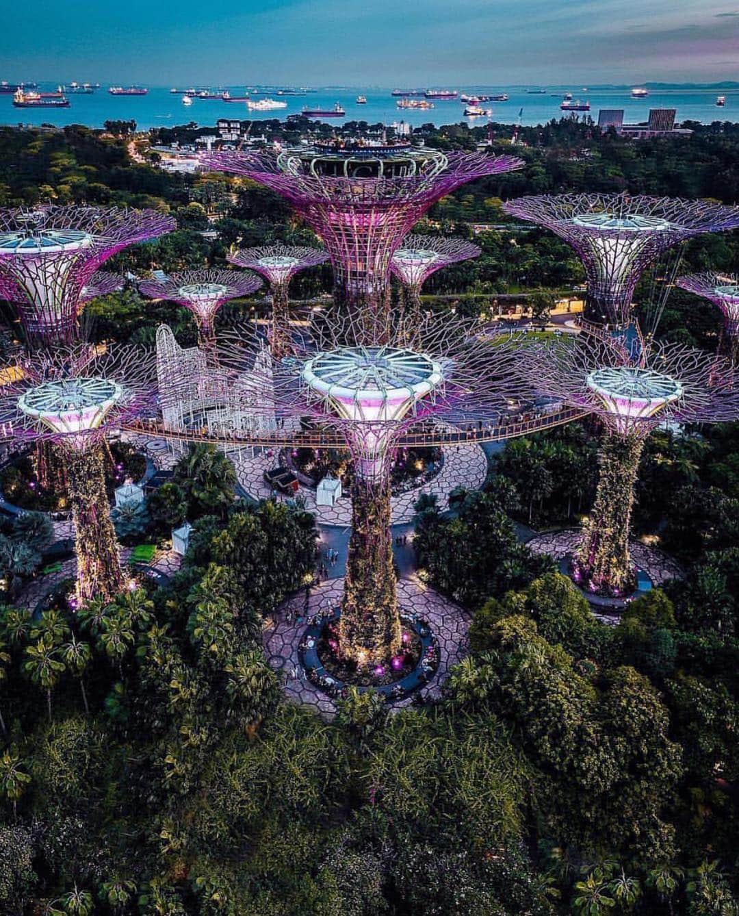Awesome Wonderful Natureさんのインスタグラム写真 - (Awesome Wonderful NatureInstagram)「Some amazing architecture, Singapore Photos by @kevouthere  #fantastic_earth」5月4日 22時16分 - fantastic_earth