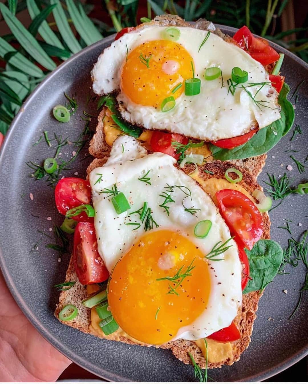 フランコ・ノリエガさんのインスタグラム写真 - (フランコ・ノリエガInstagram)「SUNNY-SIDE-UP FOR BREAKFAST 🍳 . . . #lovethisrecipe #breakfast #brunch #saturday #healthyfood #healthybreakfast #toast #eggs #sunnysideup」5月4日 22時34分 - franconorhal