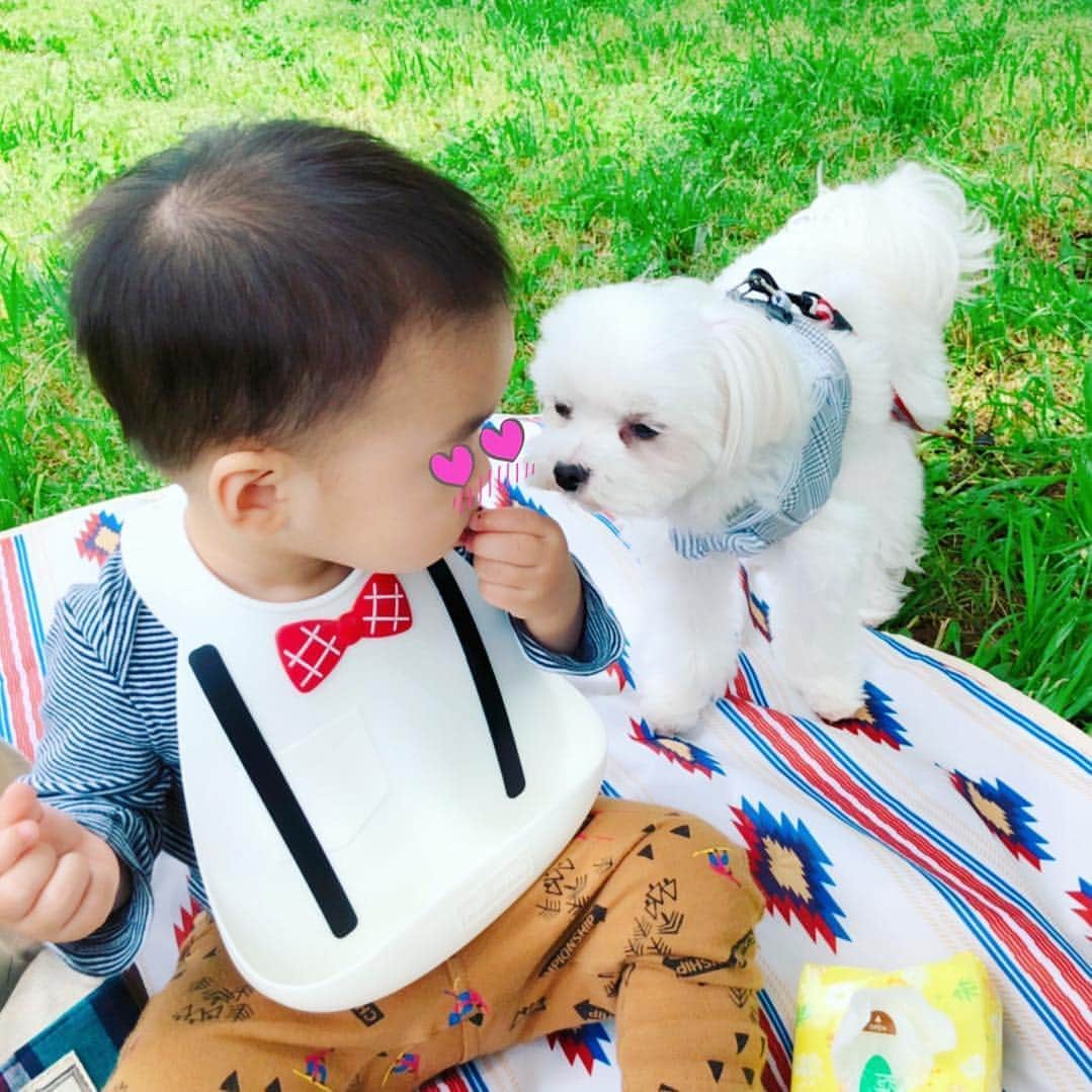 保田圭さんのインスタグラム写真 - (保田圭Instagram)「公園でお弁当ランチ♡ #仲良しな息子と愛犬」5月4日 22時41分 - keiyasuda1206